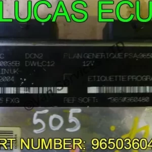 BERLINGO PARTNER DISPATCH EXPERT ECU - FITS 1996-06 PSA 9650360480